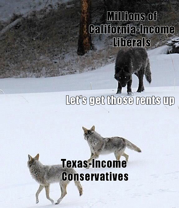 This meme is a humorous commentary on the economic divide between California and Texas. The image features a wolf in a snowy landscape, with the caption "Millions of California-Income Liberals: Let's get those rent increases!" and "Texas-Income Conservatives: Let's get those rent increases!" below it, juxtaposing the two groups' reactions to rising rent costs.